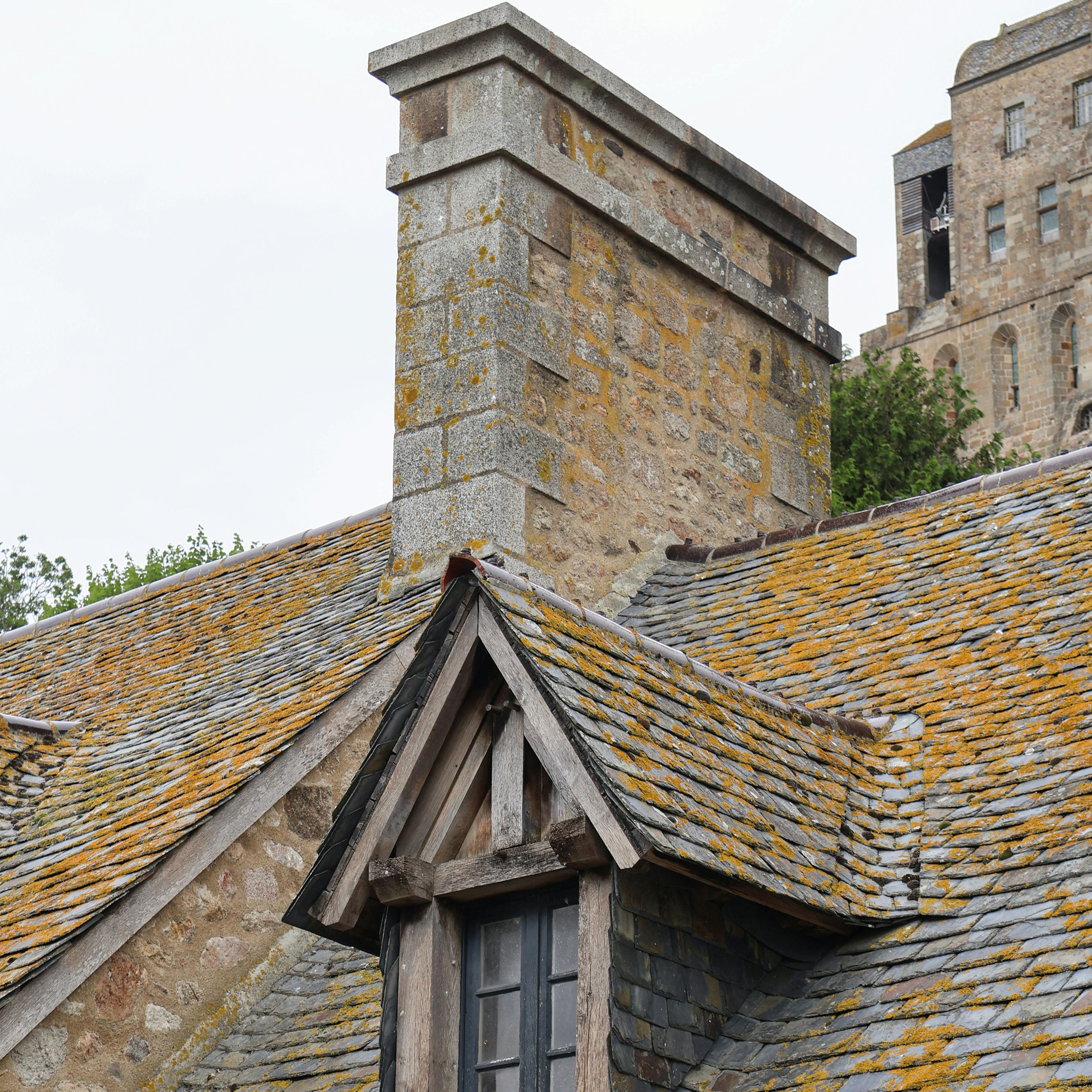 Toiture couverte de mousse et de lichen avant traitement par drone à Lorient